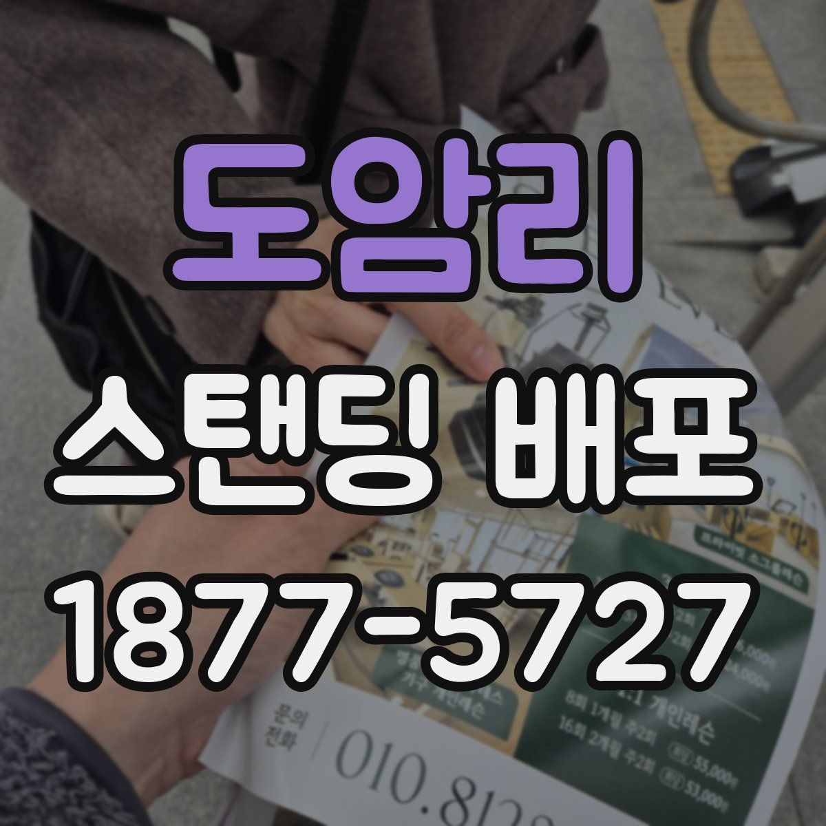 도암리 스탠딩 배포