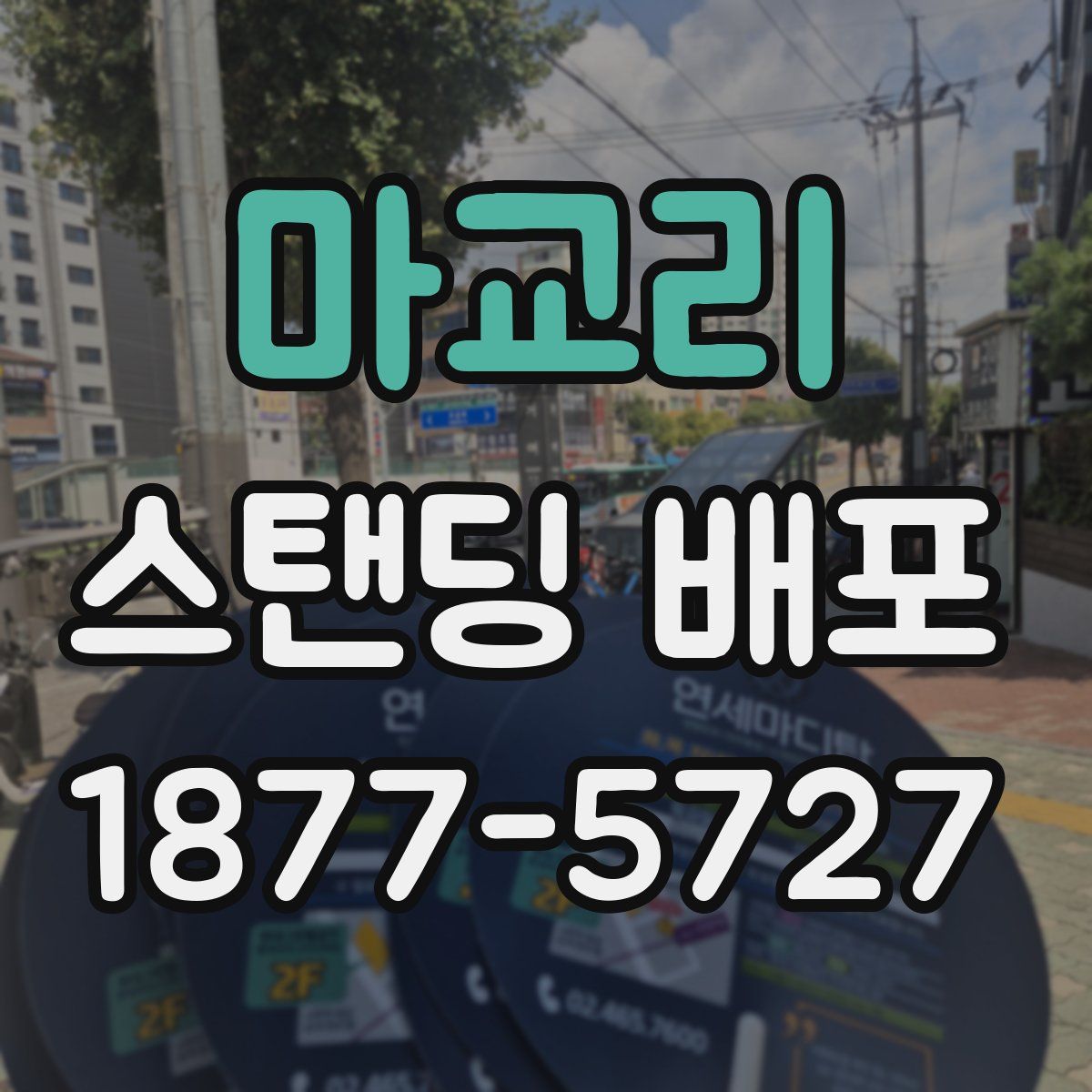 마교리 스탠딩 배포