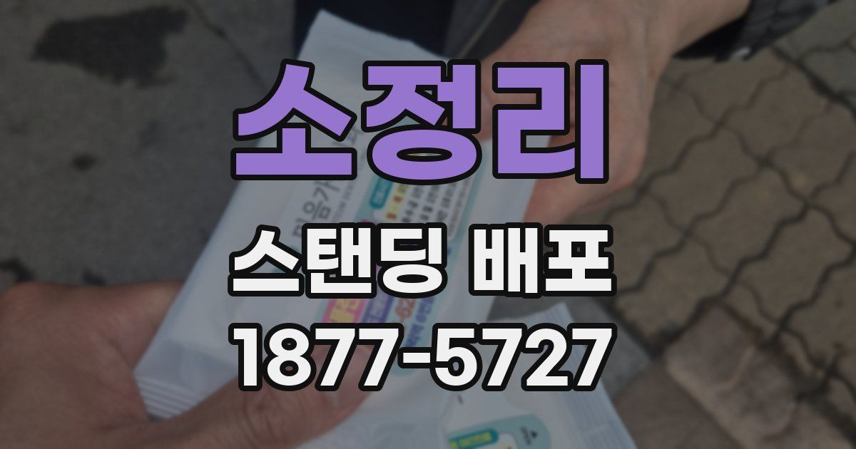 소정리 스탠딩 배포
