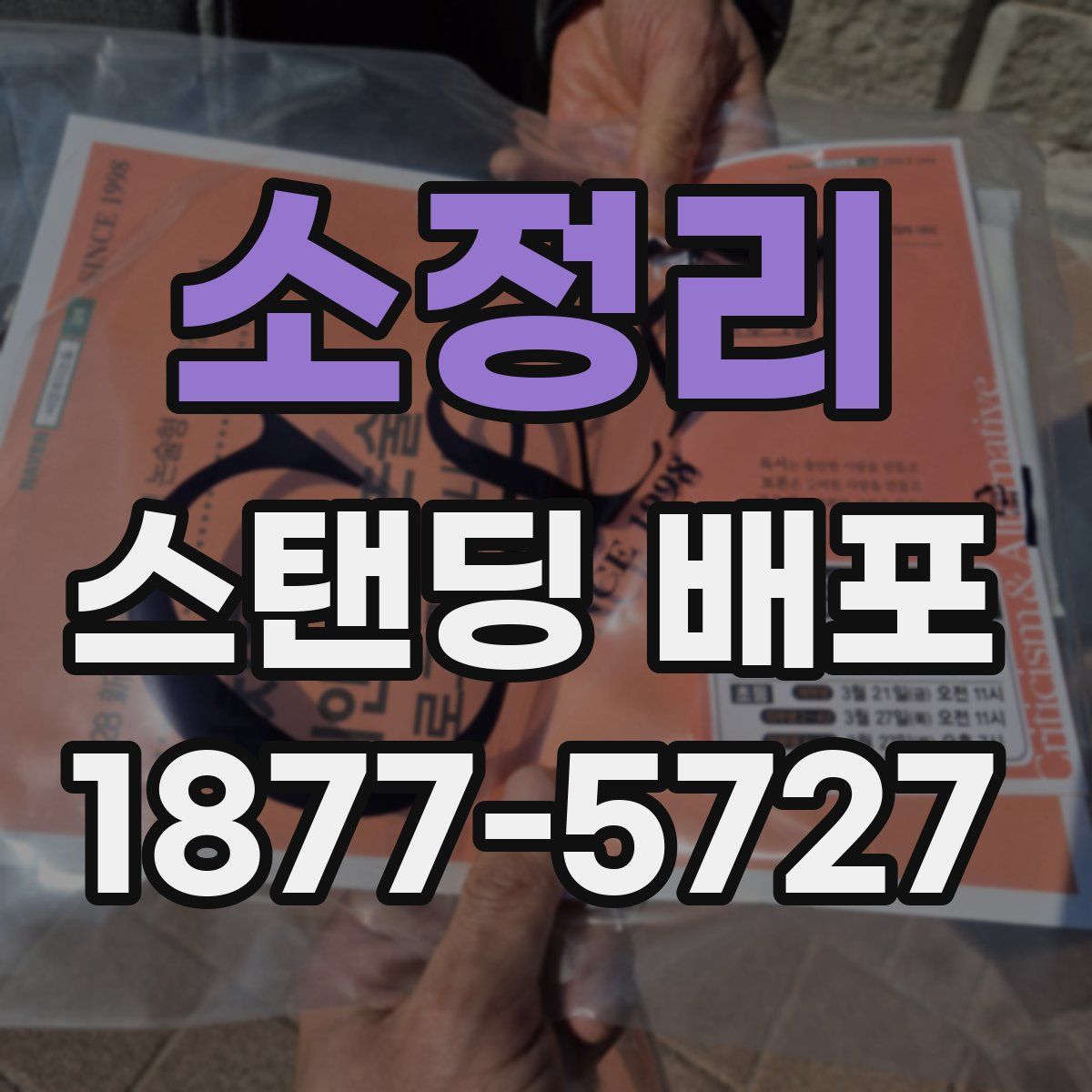 소정리 스탠딩 배포