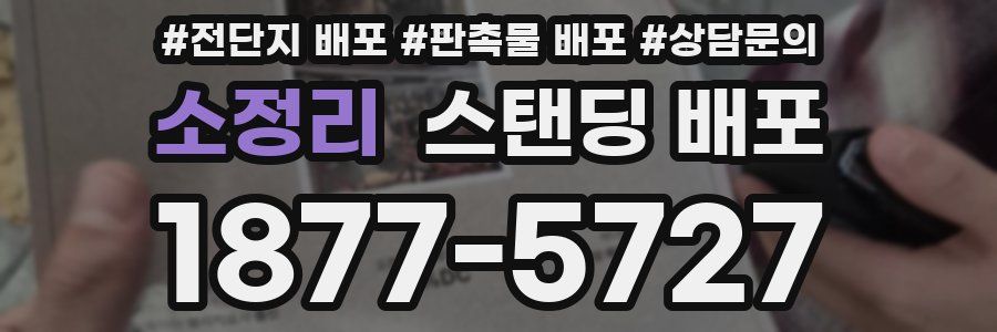 소정리 스탠딩 배포