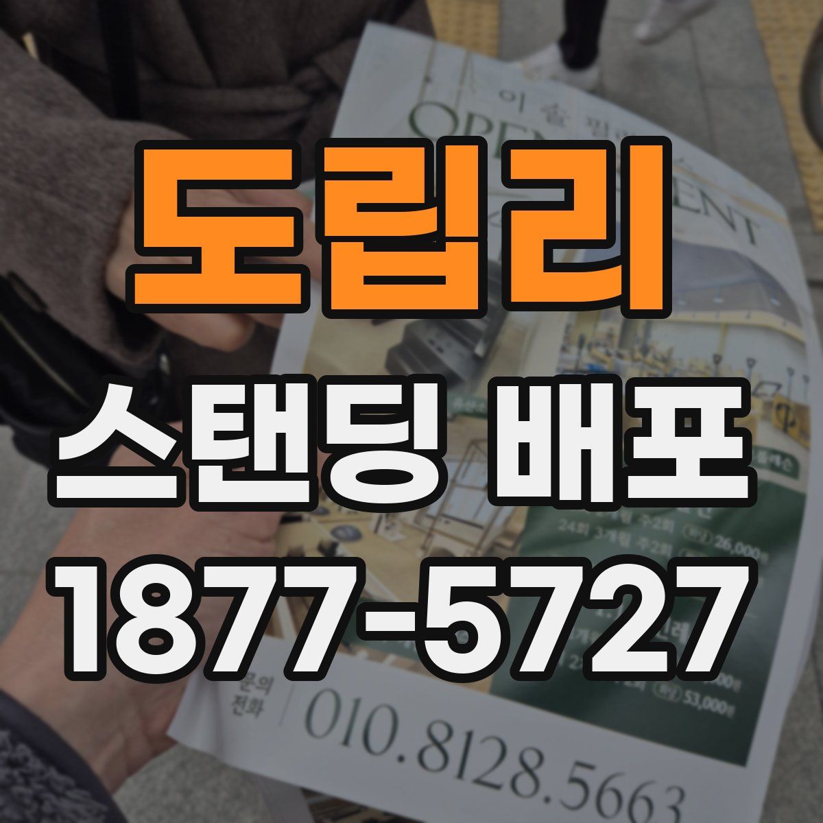 도립리 스탠딩 배포