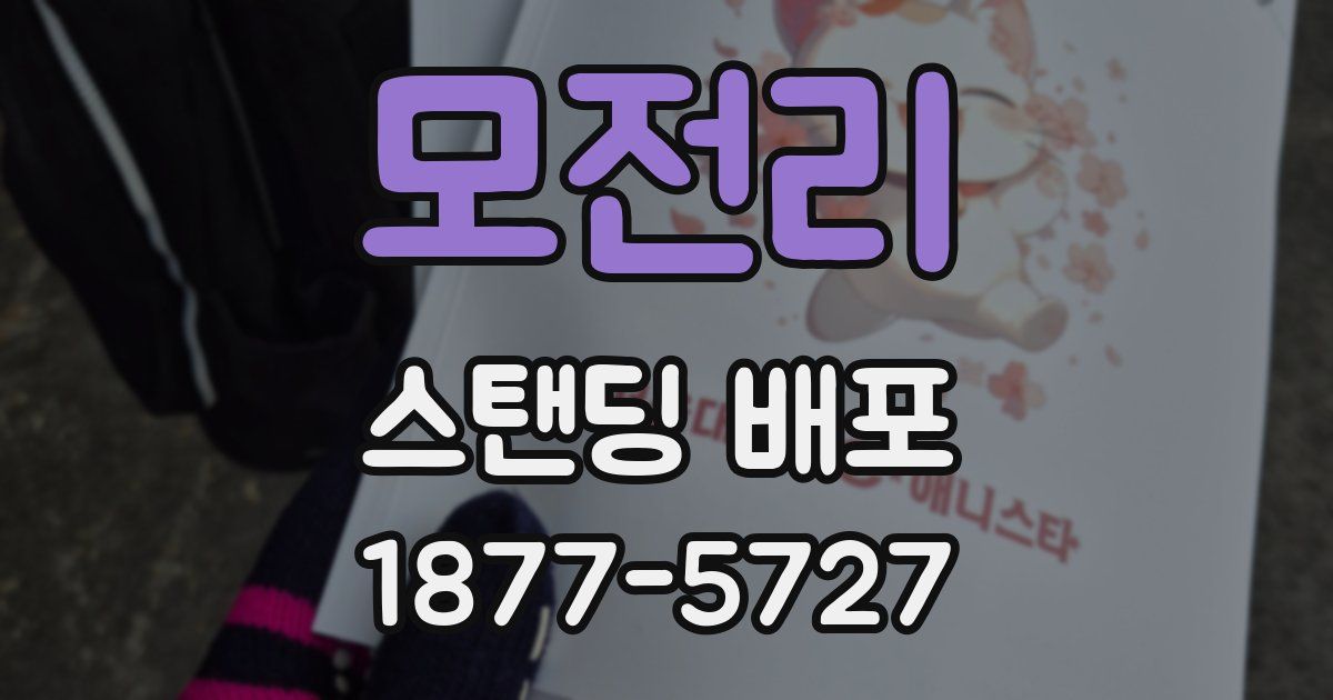 모전리 스탠딩 배포