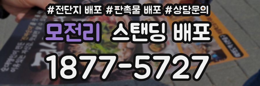 모전리 스탠딩 배포
