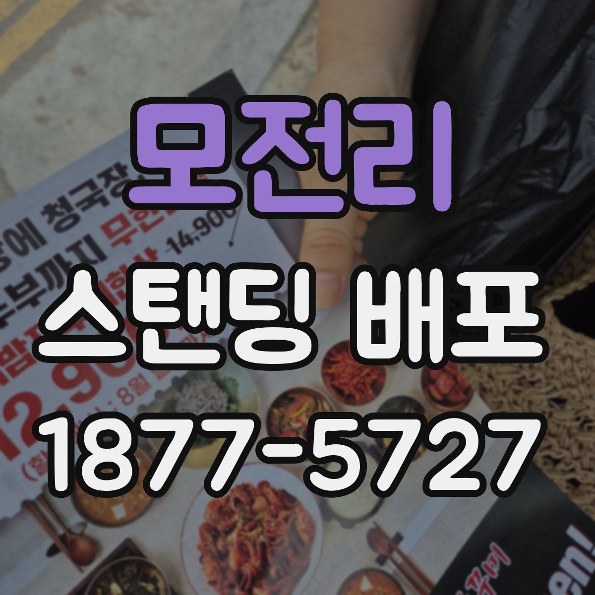 모전리 스탠딩 배포