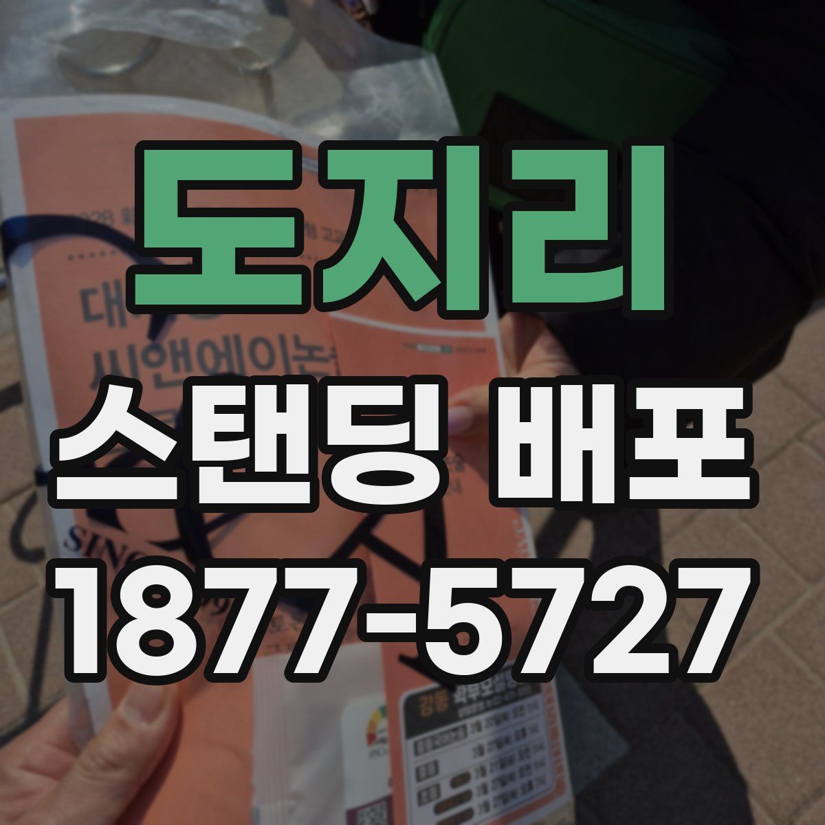 도지리 스탠딩 배포