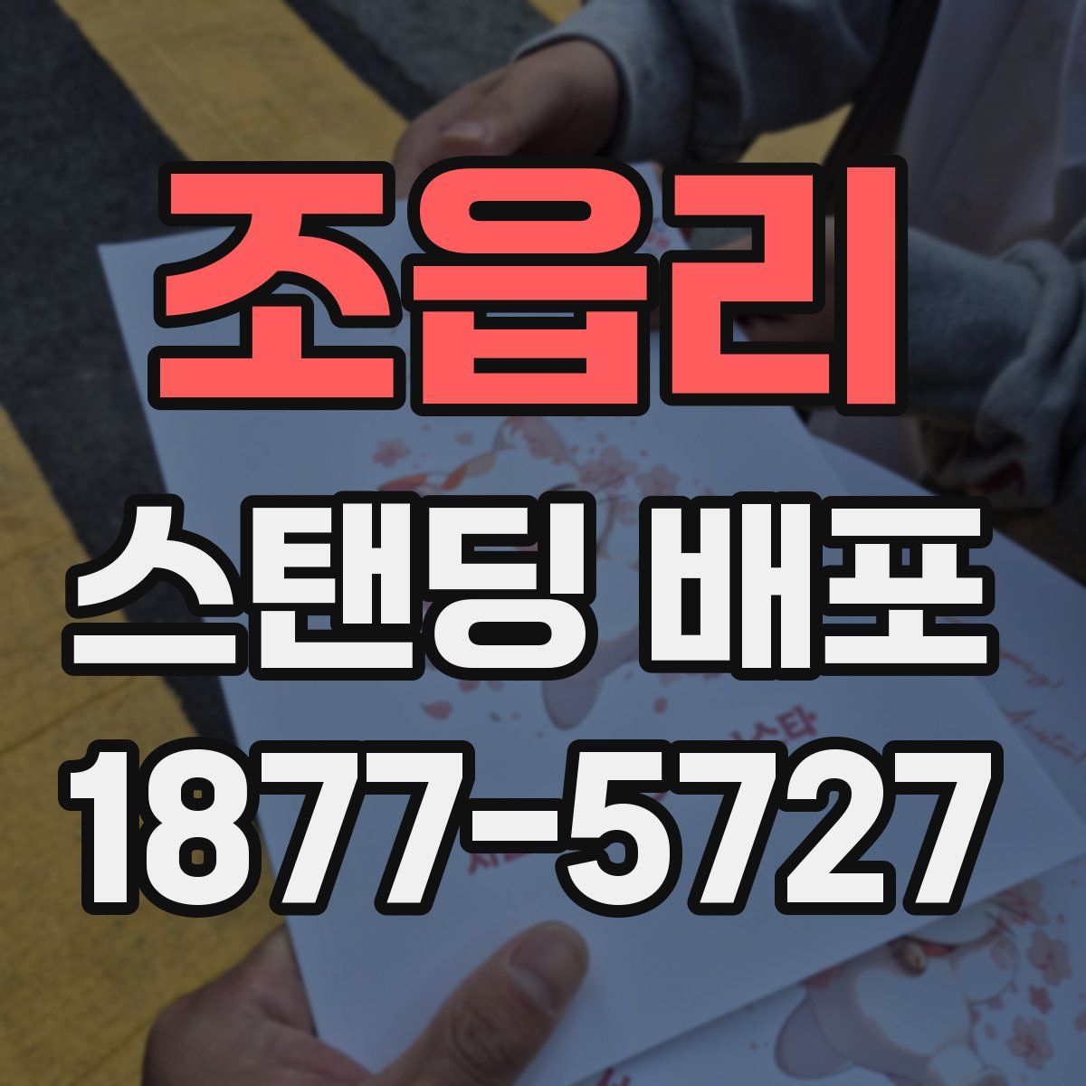 조읍리 스탠딩 배포