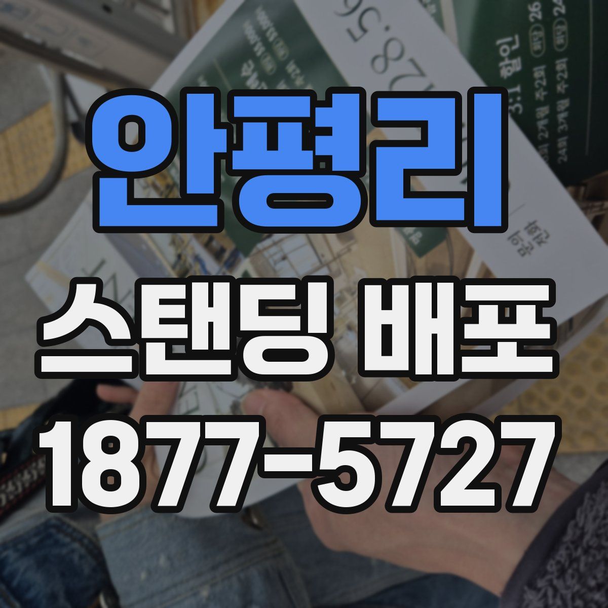 안평리 스탠딩 배포