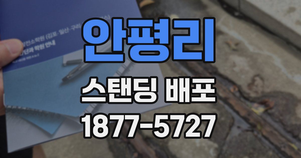 안평리 스탠딩 배포