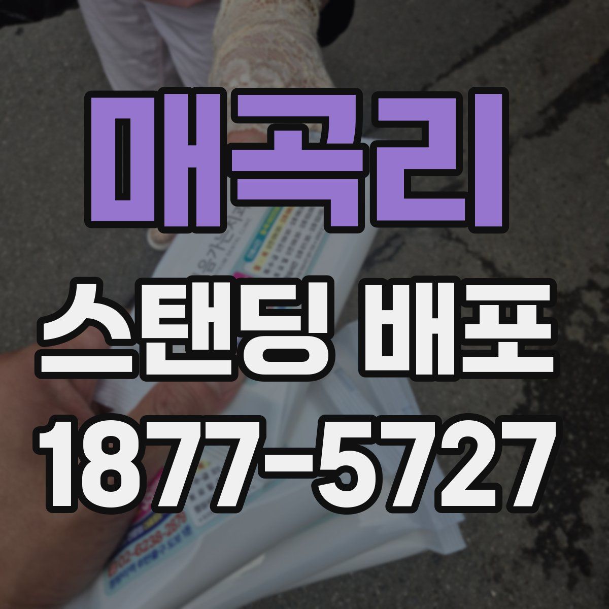 매곡리 스탠딩 배포