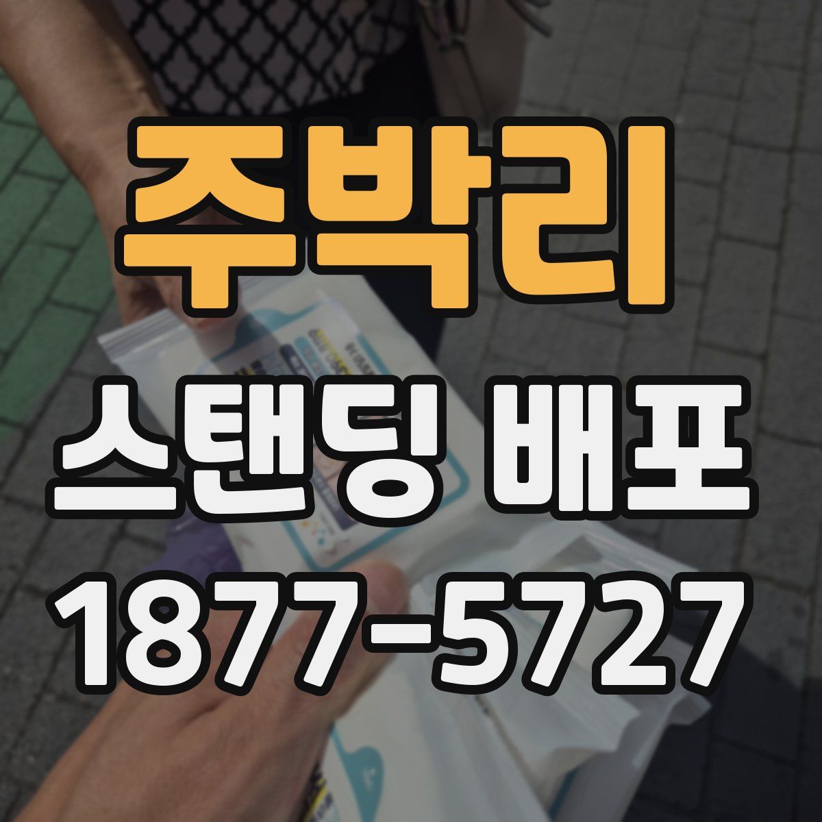 주박리 스탠딩 배포