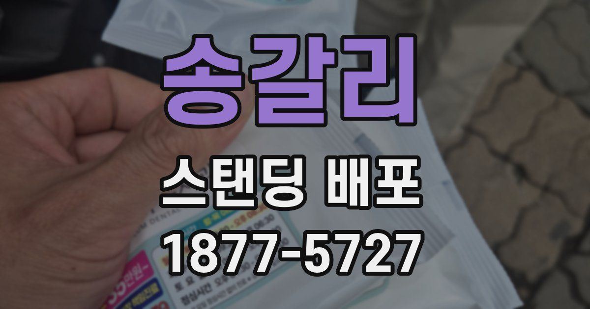 송갈리 스탠딩 배포
