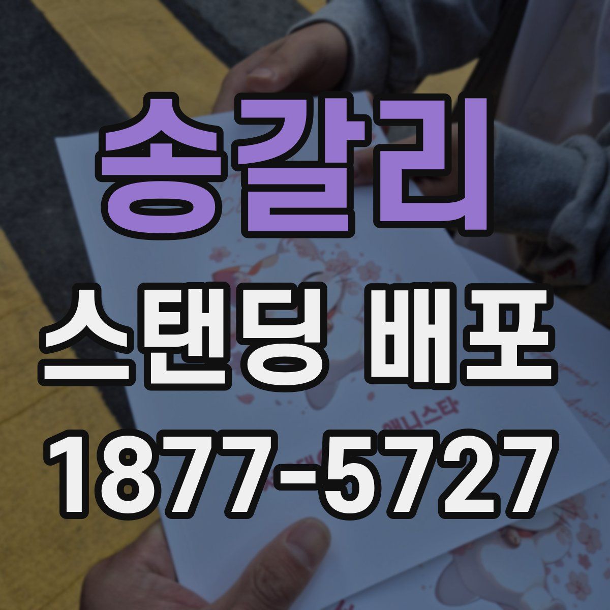송갈리 스탠딩 배포