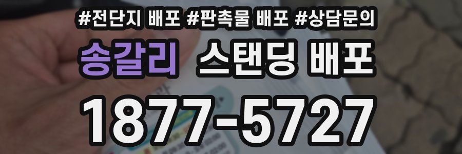 송갈리 스탠딩 배포