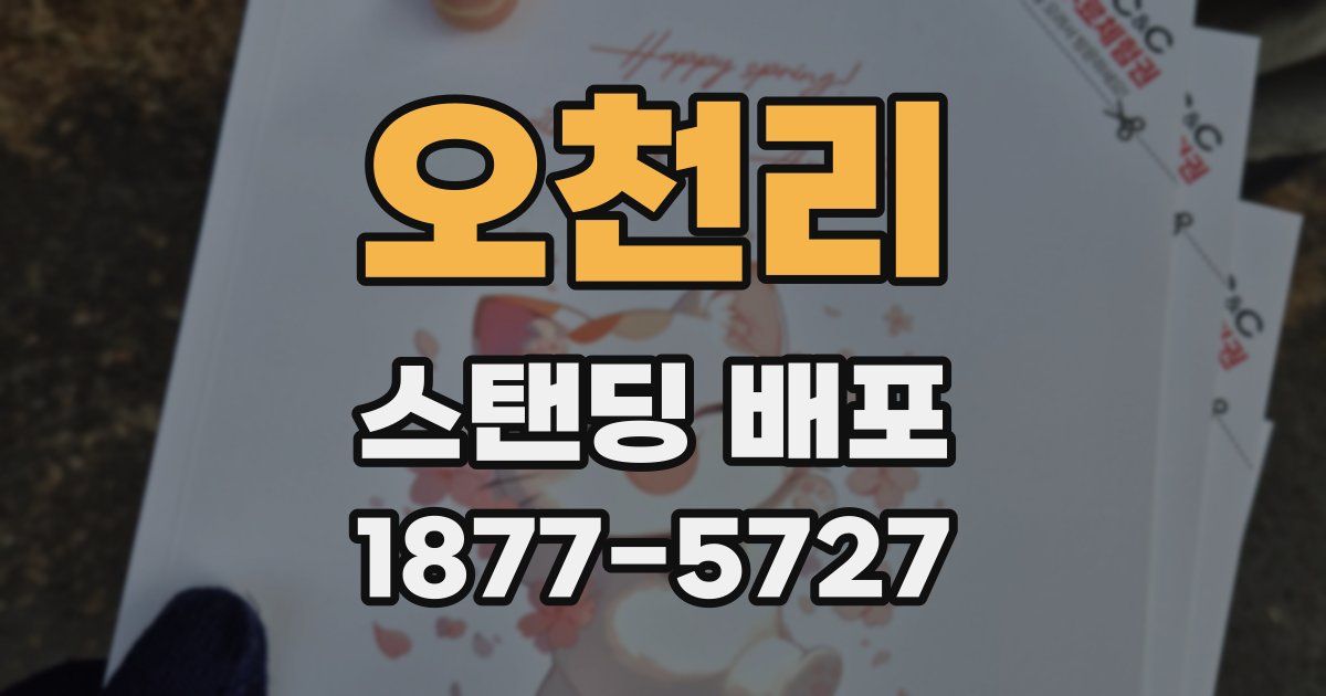 오천리 스탠딩 배포
