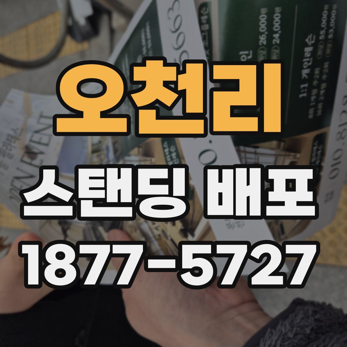오천리 스탠딩 배포