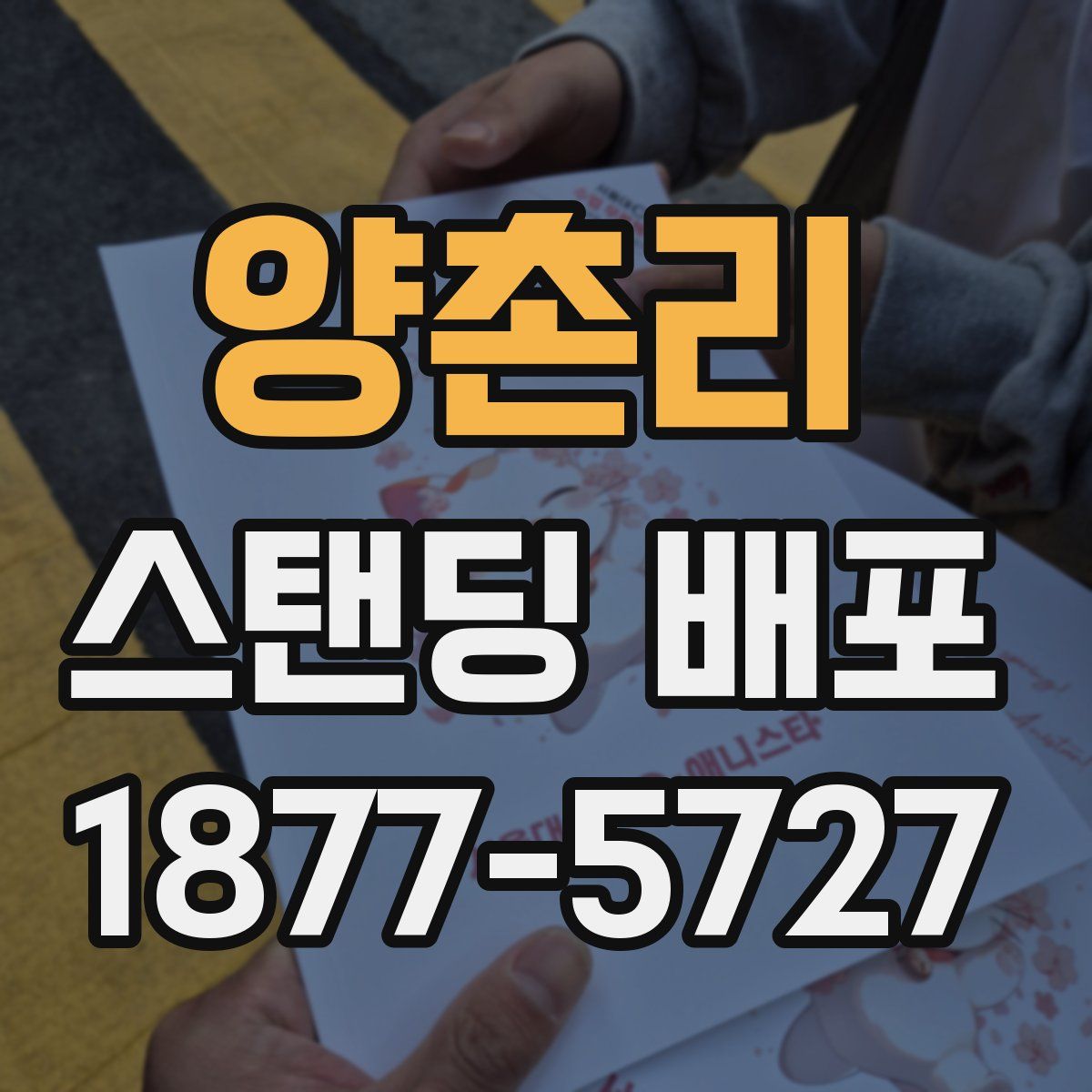 양촌리 스탠딩 배포