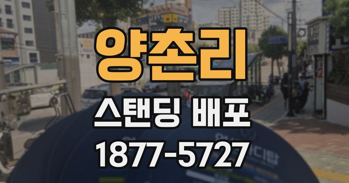 양촌리 스탠딩 배포
