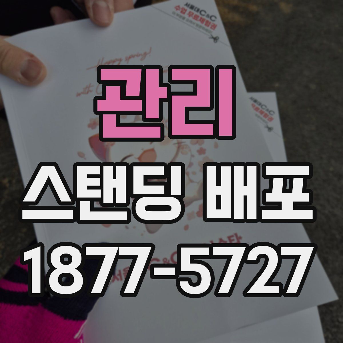 관리 스탠딩 배포