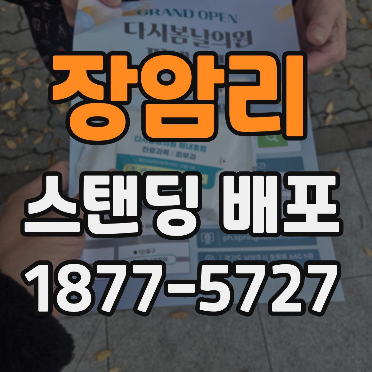 장암리 스탠딩 배포
