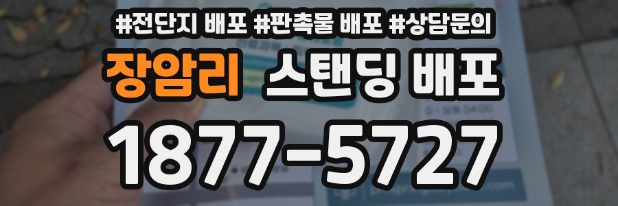 장암리 스탠딩 배포