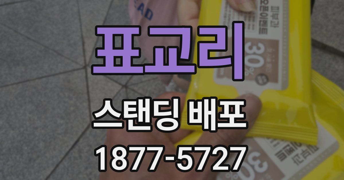 표교리 스탠딩 배포