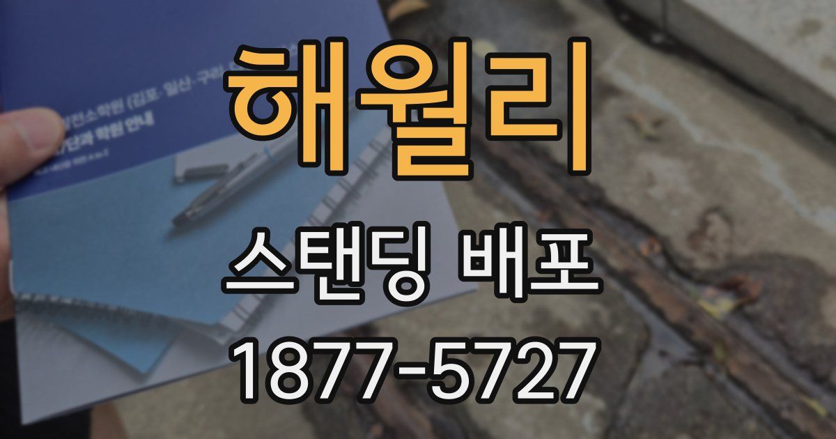 해월리 스탠딩 배포