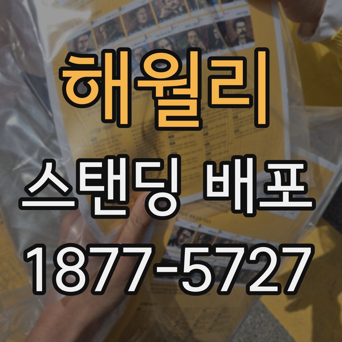 해월리 스탠딩 배포