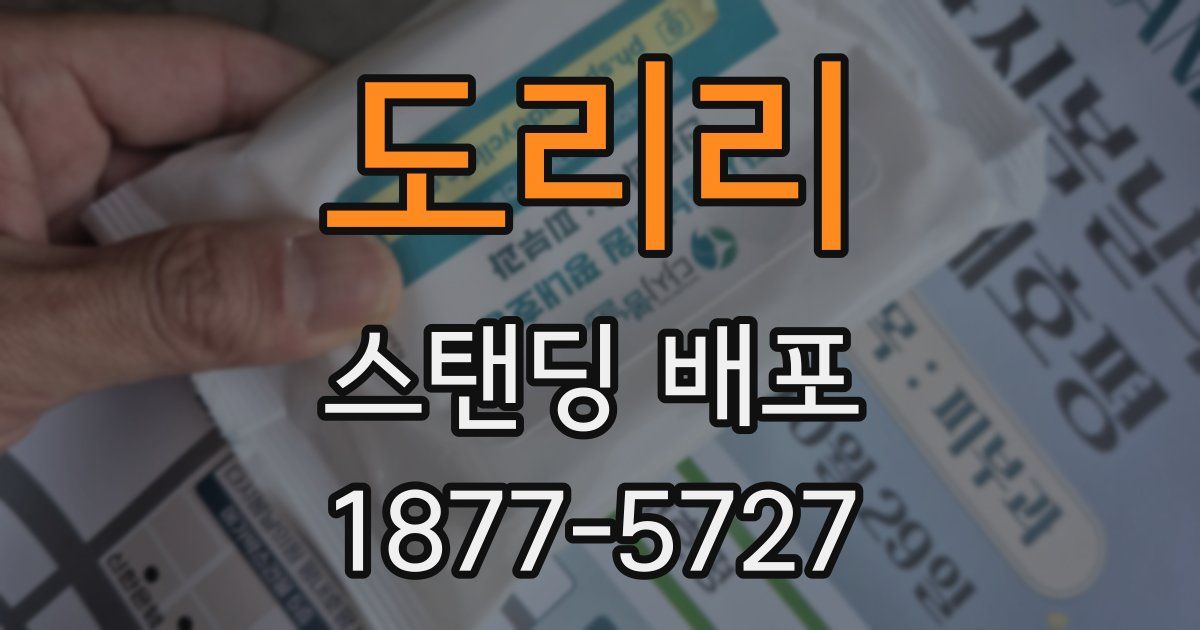 도리리 스탠딩 배포