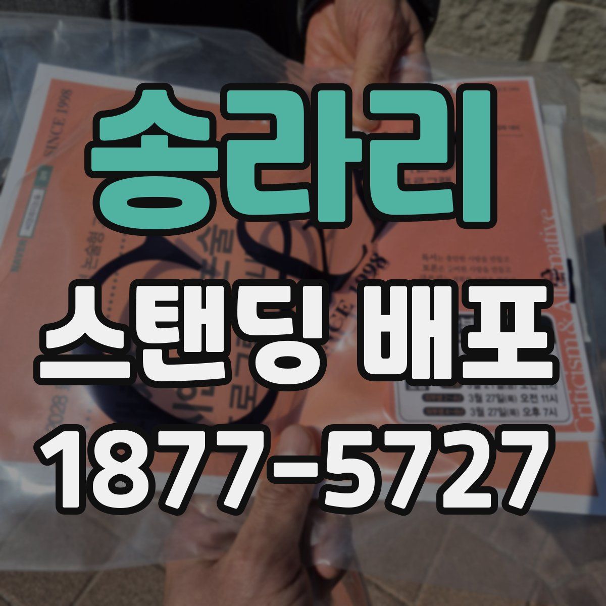송라리 스탠딩 배포