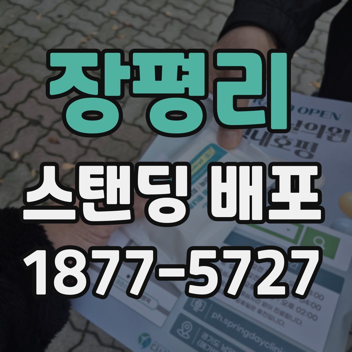 장평리 스탠딩 배포