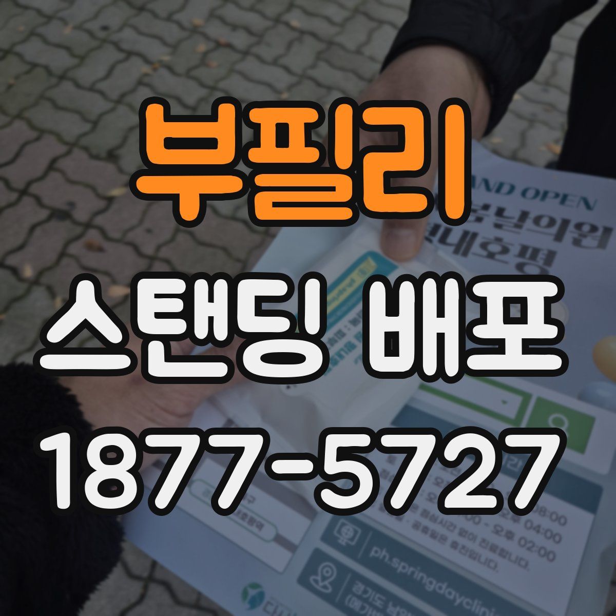 부필리 스탠딩 배포