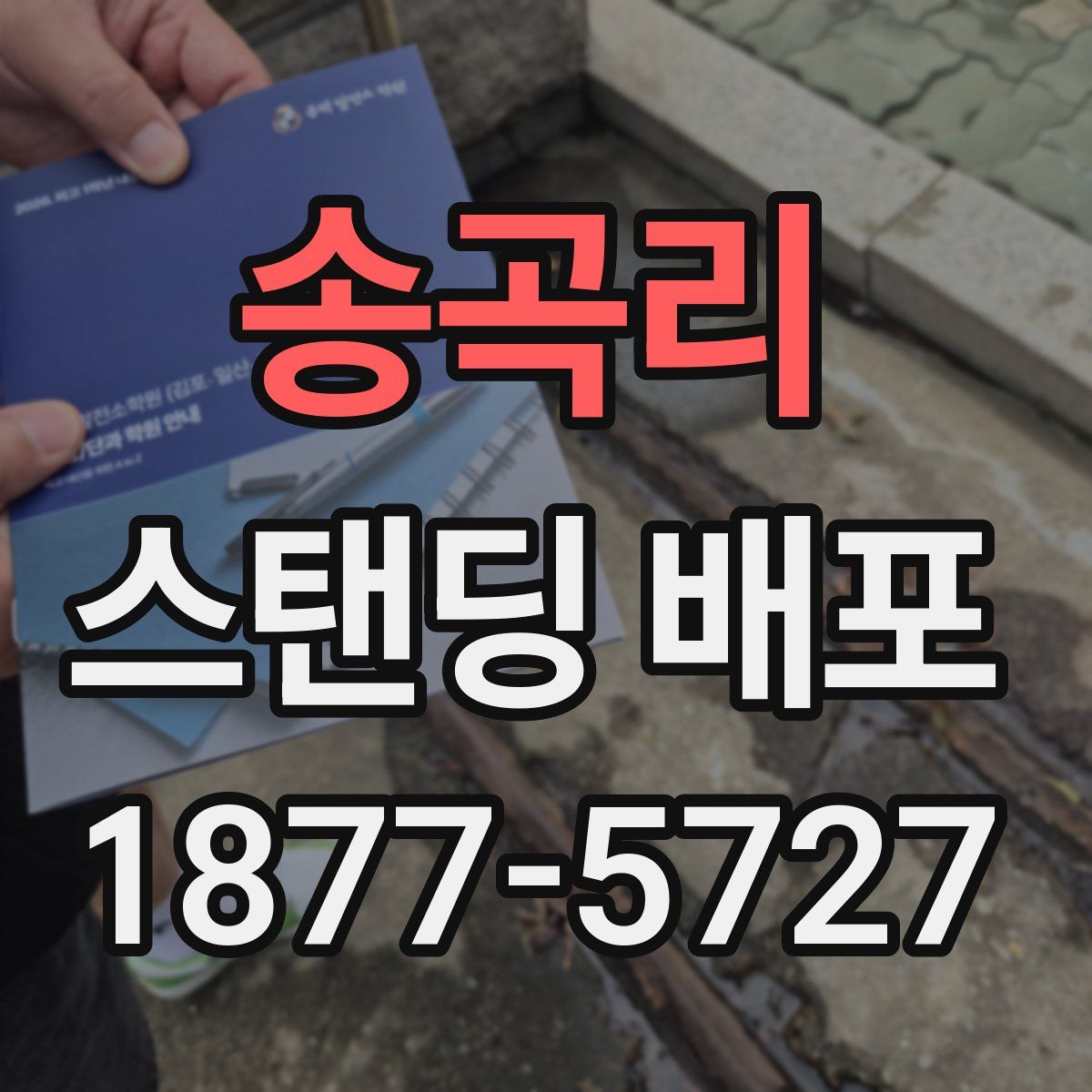 송곡리 스탠딩 배포