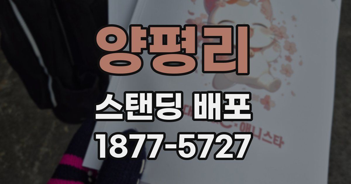 양평리 스탠딩 배포