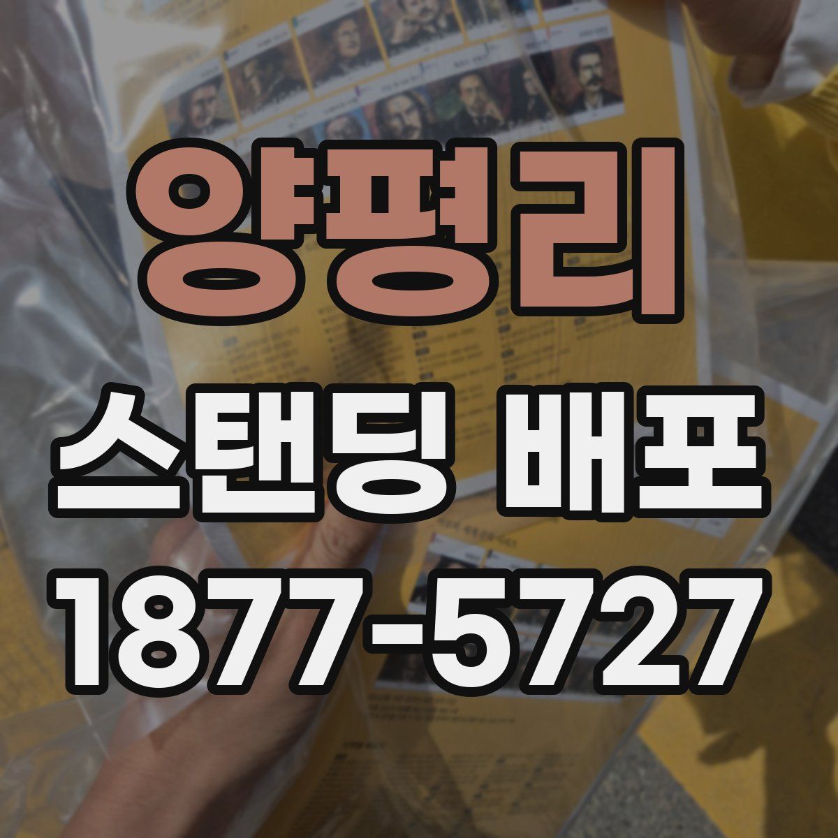 양평리 스탠딩 배포