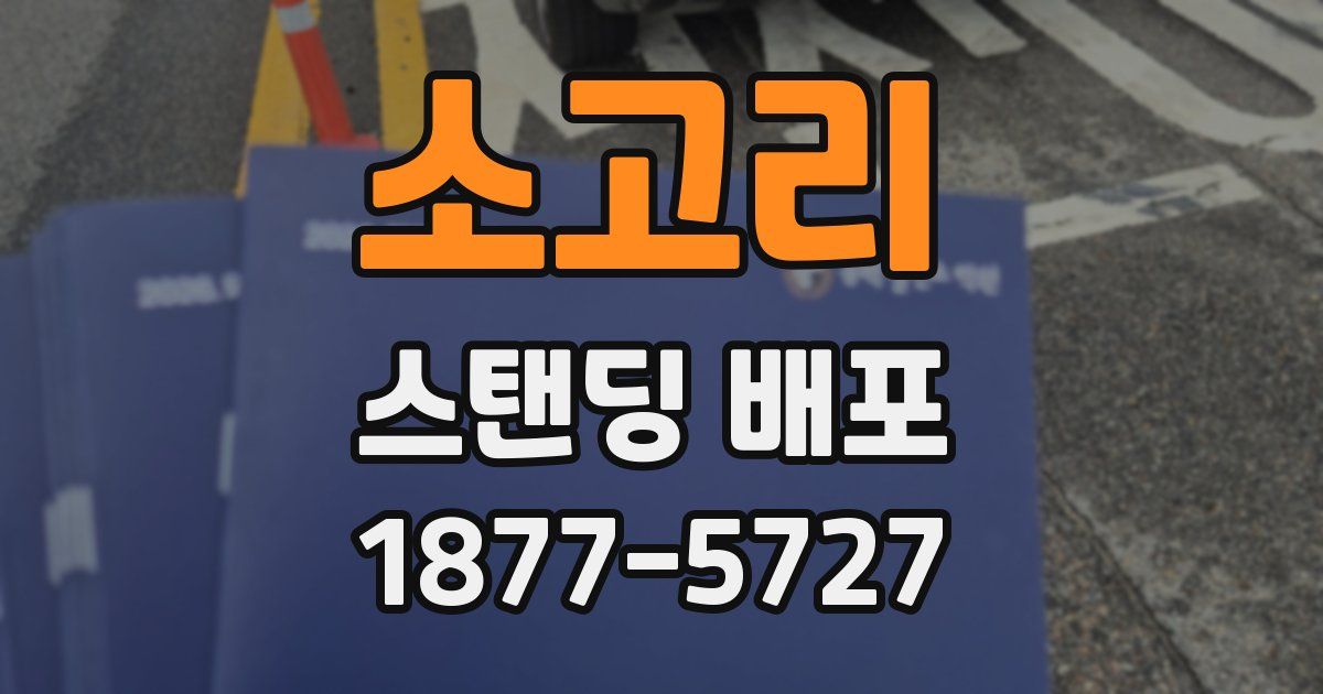 소고리 스탠딩 배포