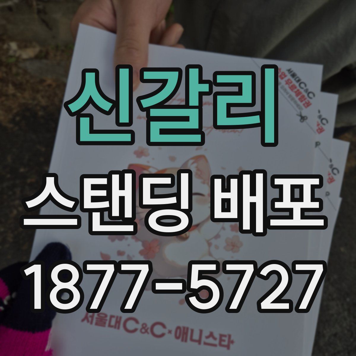 신갈리 스탠딩 배포