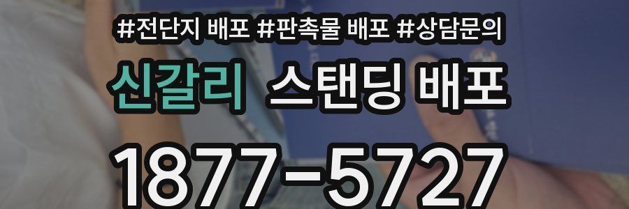 신갈리 스탠딩 배포