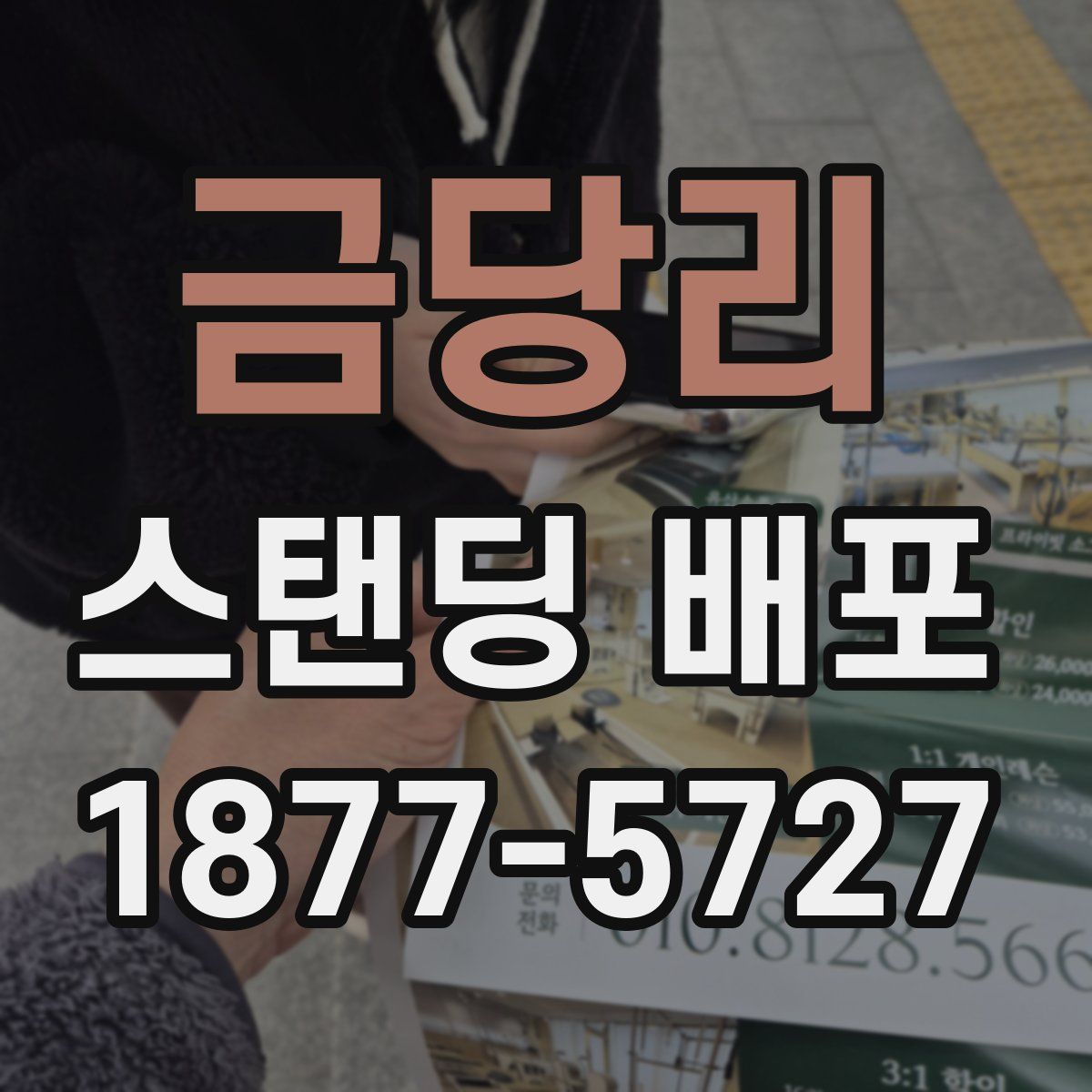 금당리 스탠딩 배포