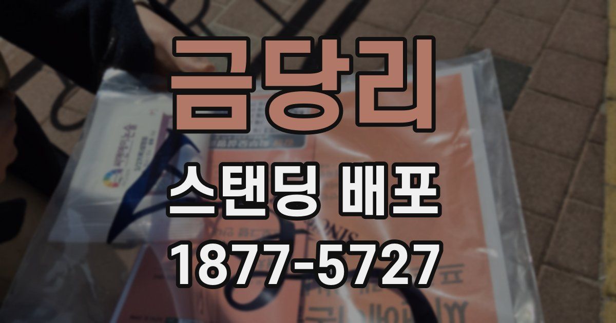 금당리 스탠딩 배포