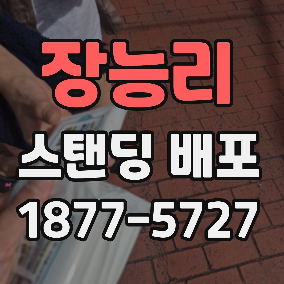 장능리 스탠딩 배포