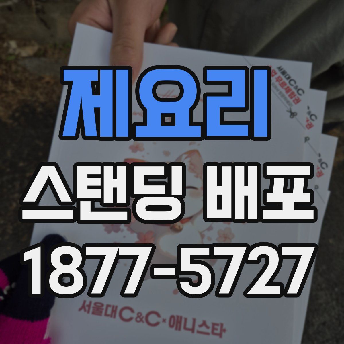 제요리 스탠딩 배포