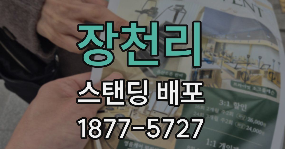 장천리 스탠딩 배포