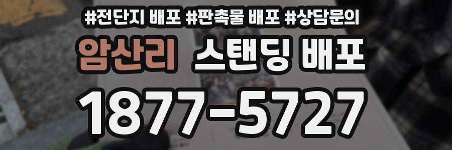 암산리 스탠딩 배포