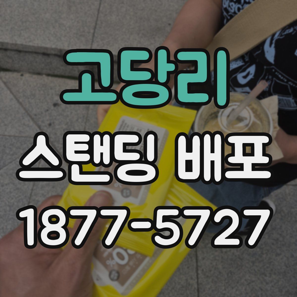 고당리 스탠딩 배포