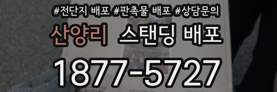 산양리 스탠딩 배포