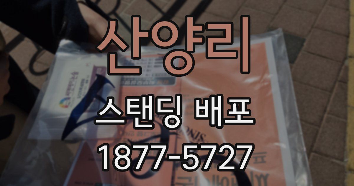 산양리 스탠딩 배포