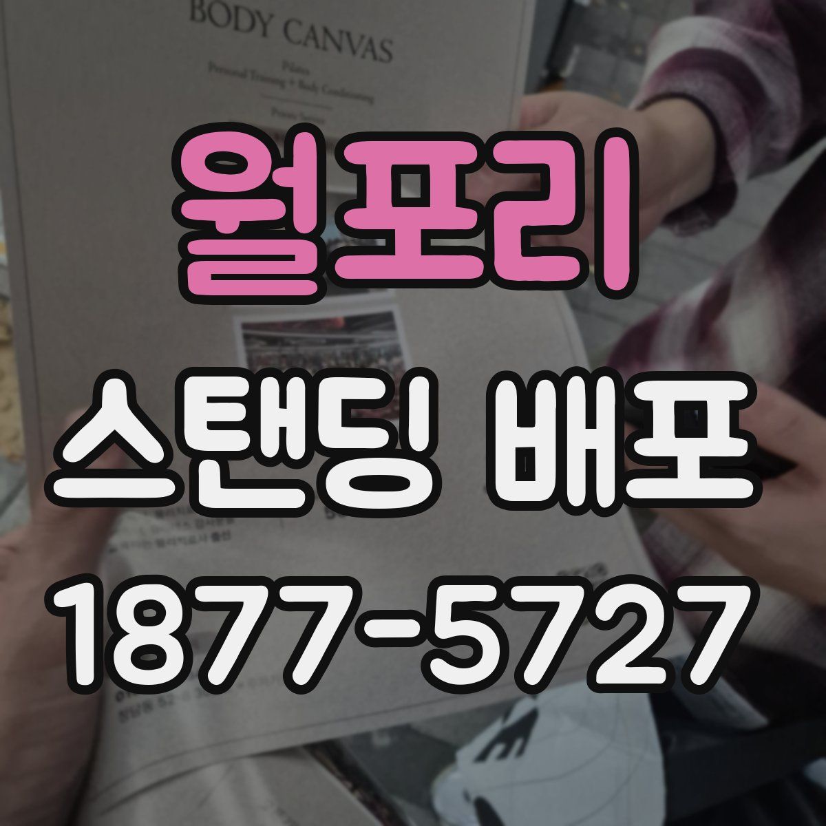 월포리 스탠딩 배포