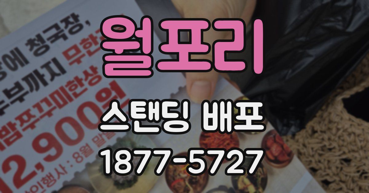 월포리 스탠딩 배포