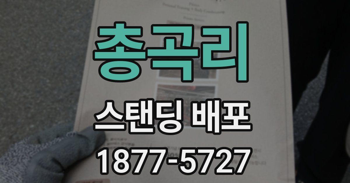 총곡리 스탠딩 배포